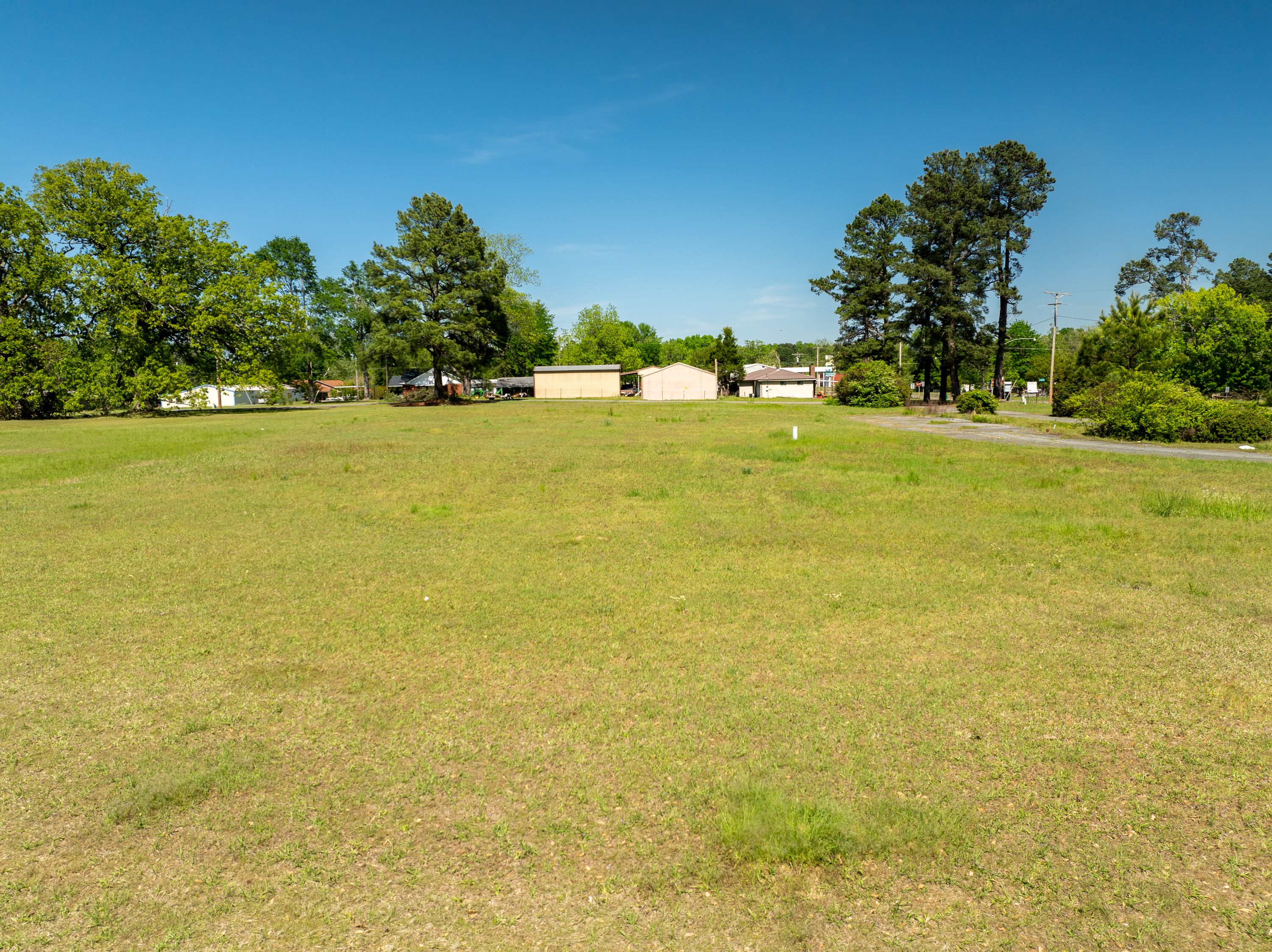 Auction Wilson Auctioneers